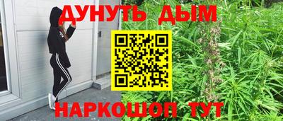 Альфа ПВП Малгобек
