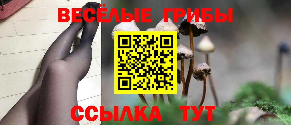 Псилоцибиновые грибы мухоморы Тулун